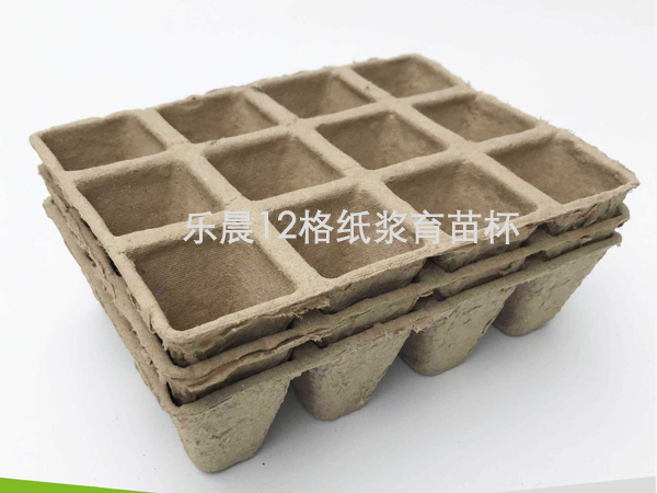 乐晨育苗杯LCYY12001