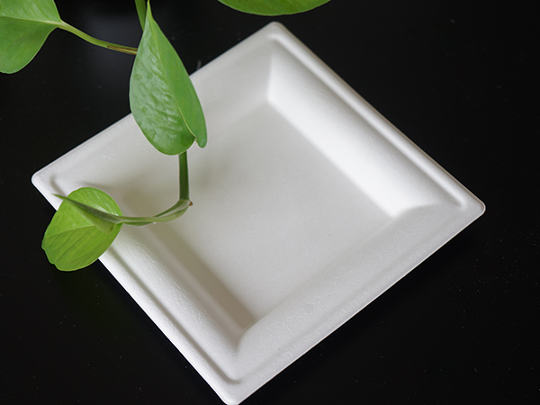 乐晨环保餐具LCSPCJ003