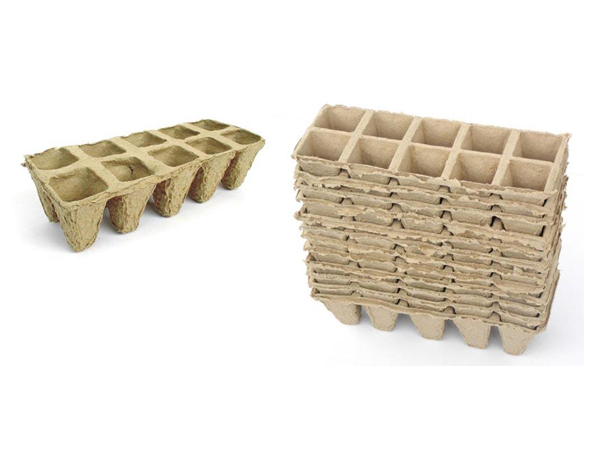 乐晨育苗杯LCYY8001