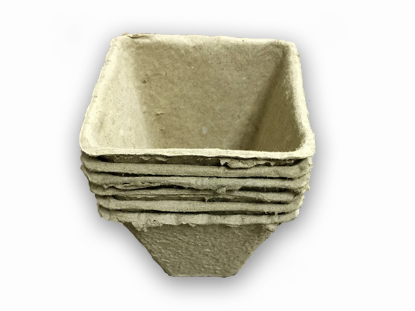 乐晨育苗杯LCYY1002