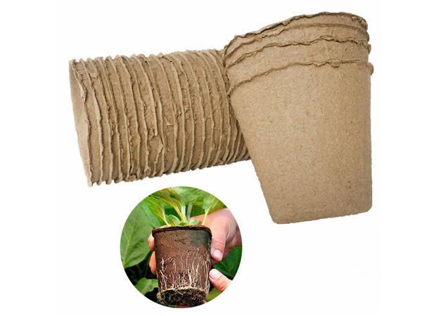 乐晨育苗杯LCYY1003